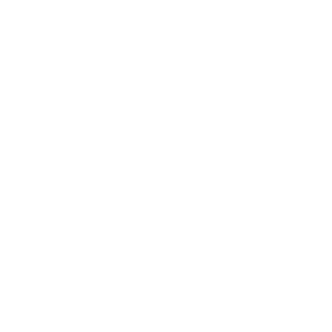 RV Trippin